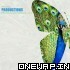 07. Tujhe Sochta Hoon (AP Extended Mix) AP 