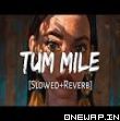 Tum Mile Slowed Reverb