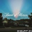 10 Coalinga Band of Horses