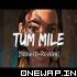 Tum Mile Slowed Reverb