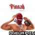 Pinnak